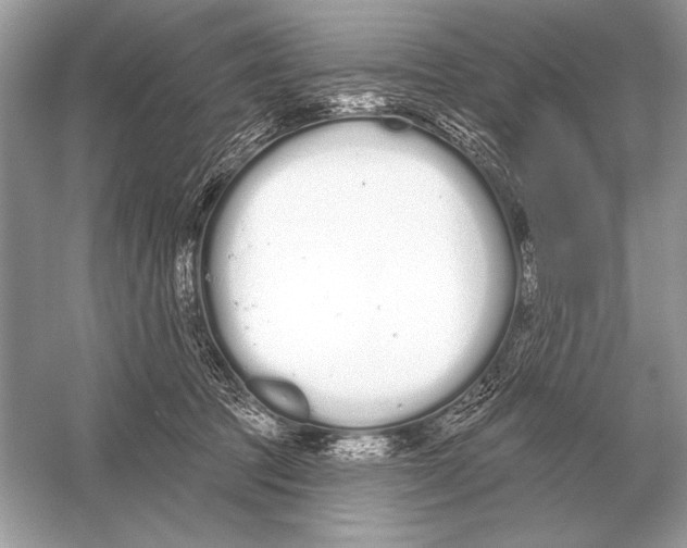 X0000051920369200507222141