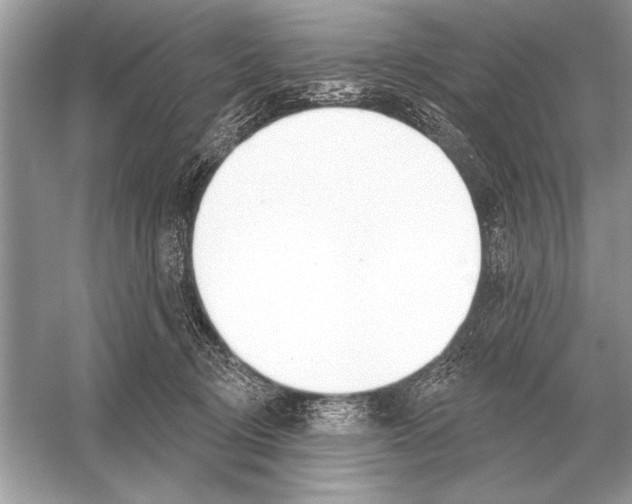 X0000051920370200507222141