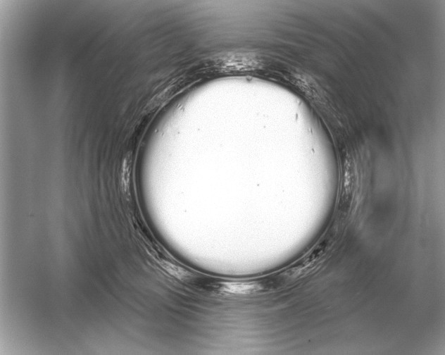 X0000051920371200507222141