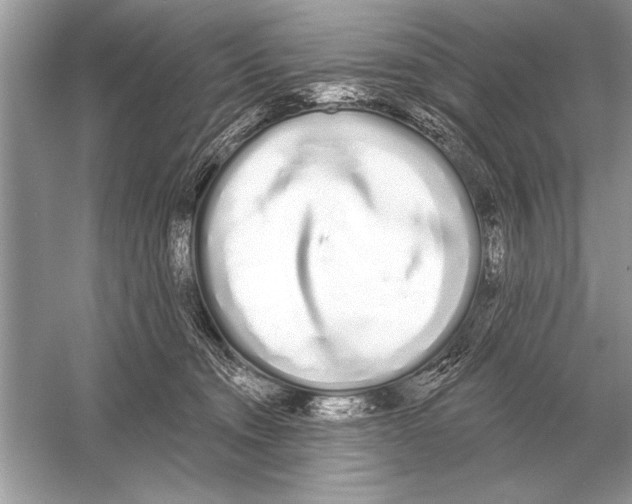 X0000051920372200507222141