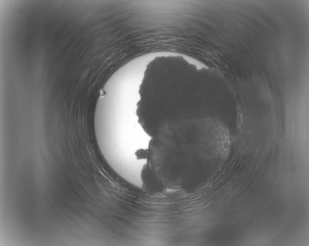 X0000051920375200507222141