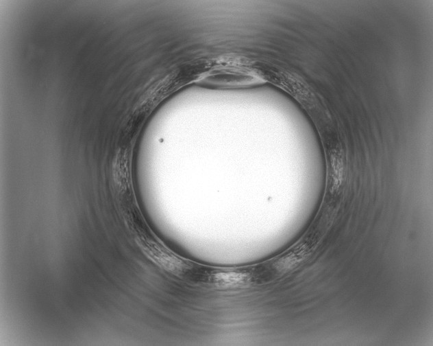 X0000051920376200507222141