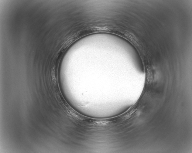 X0000051920377200507222141