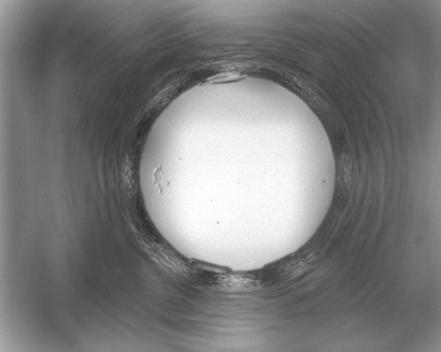 X0000051920380200507222141