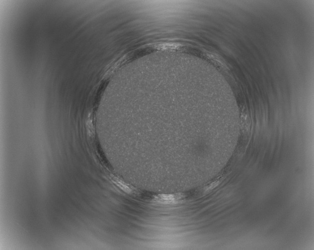 X0000051920381200507222141