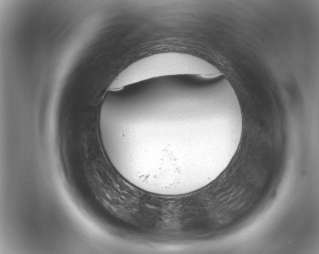 X0000051920382200507222141