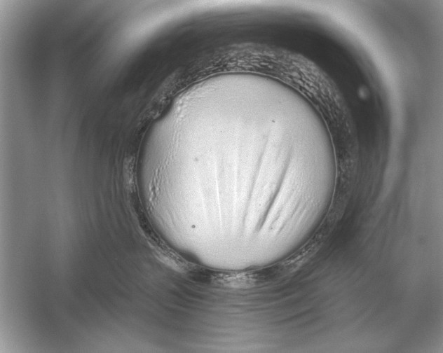 X0000051920383200507222141