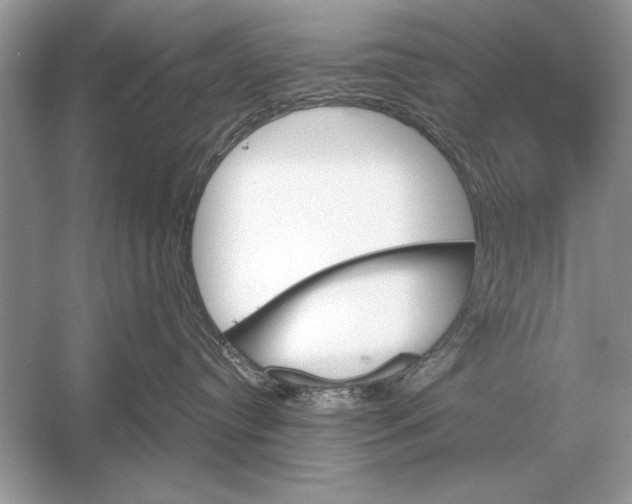 X0000051920384200507222141