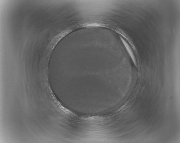 X0000051920385200507222140