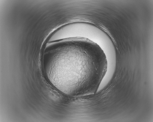 X0000051920387200507222140