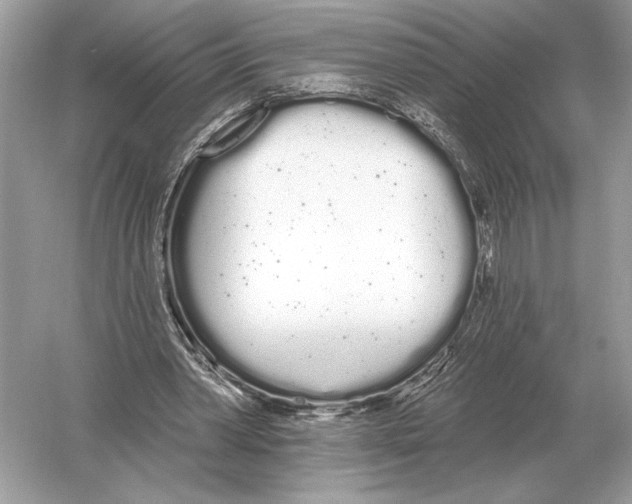 X0000051920390200507222140