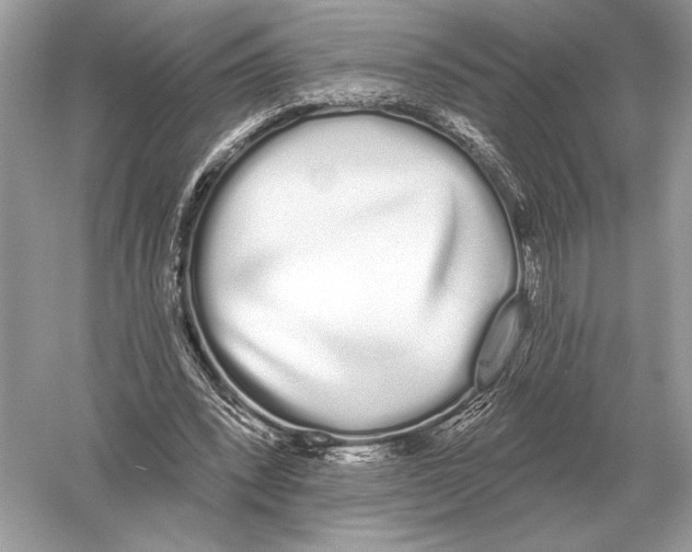 X0000051920392200507222140