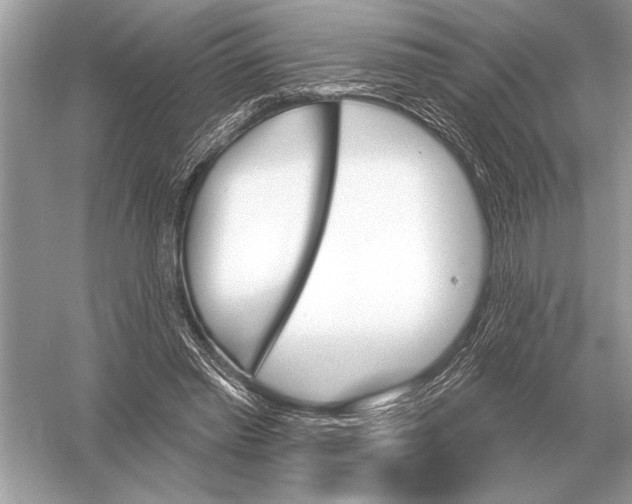 X0000051920397200507222140