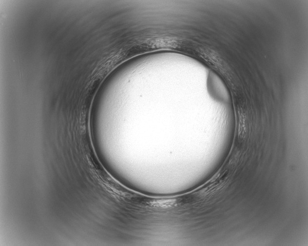 X0000051920402200507222140