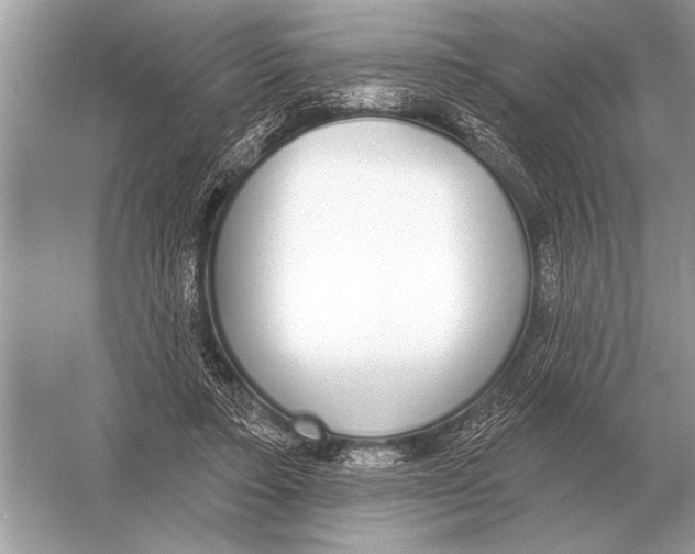 X0000051920403200507222140