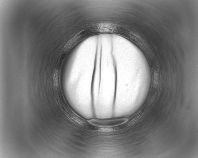 X0000051920413200507222139