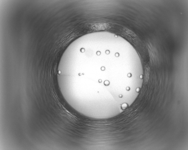 X0000051920414200507222139