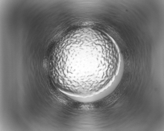 X0000051920415200507222139