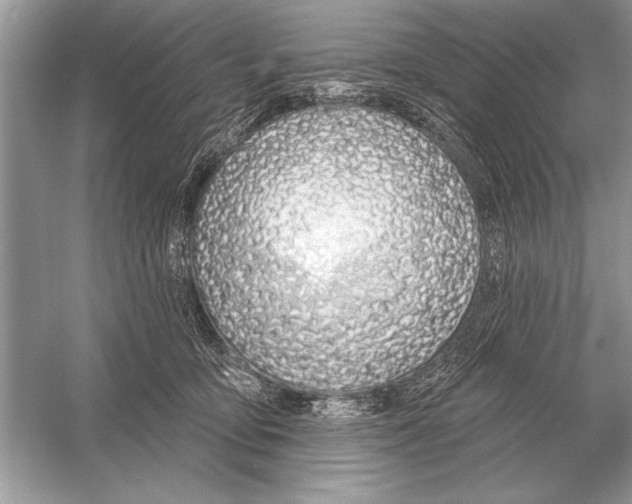 X0000051920419200507222139