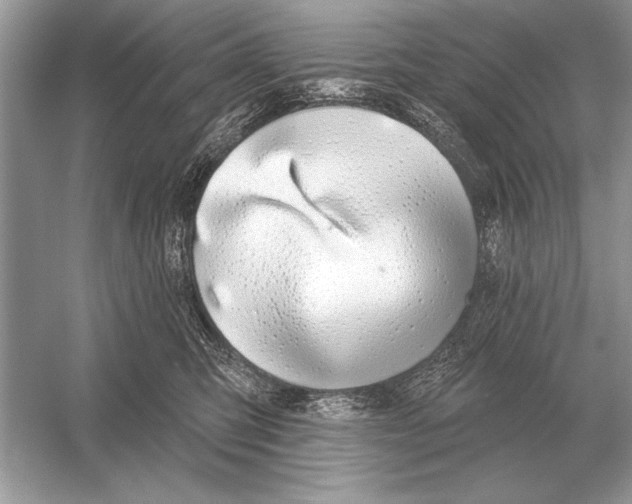 X0000051920423200507222139