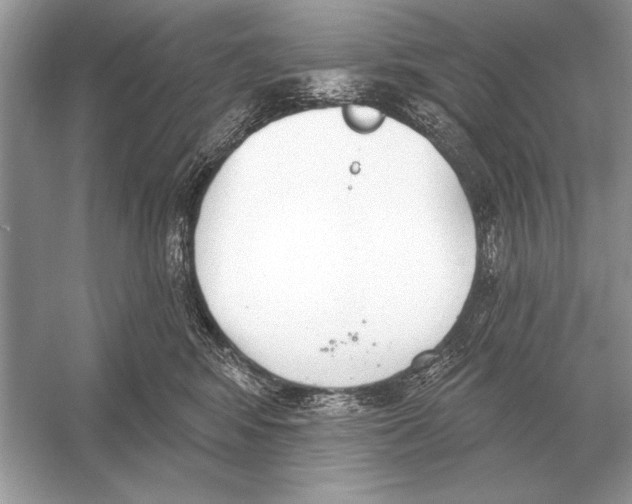 X0000051920424200507222139