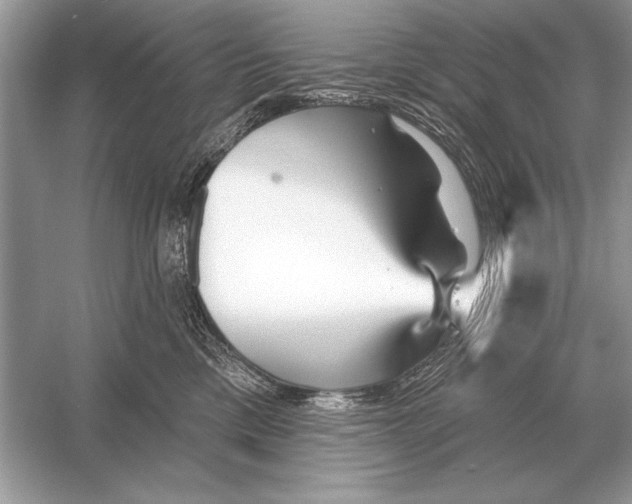 X0000051920425200507222139