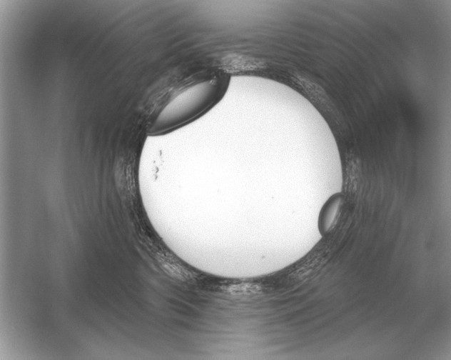 X0000051920426200507222139