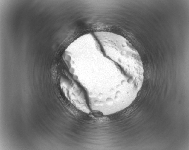 X0000051920427200507222139