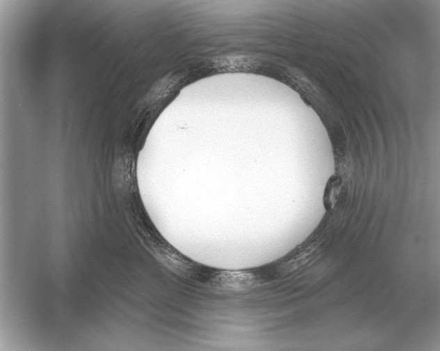 X0000051920429200507222139