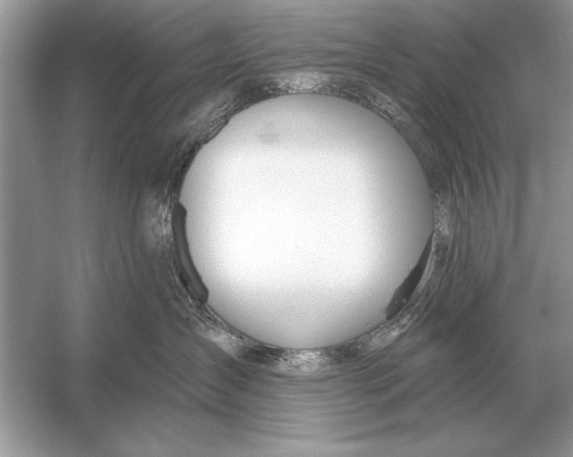 X0000051920431200507222139