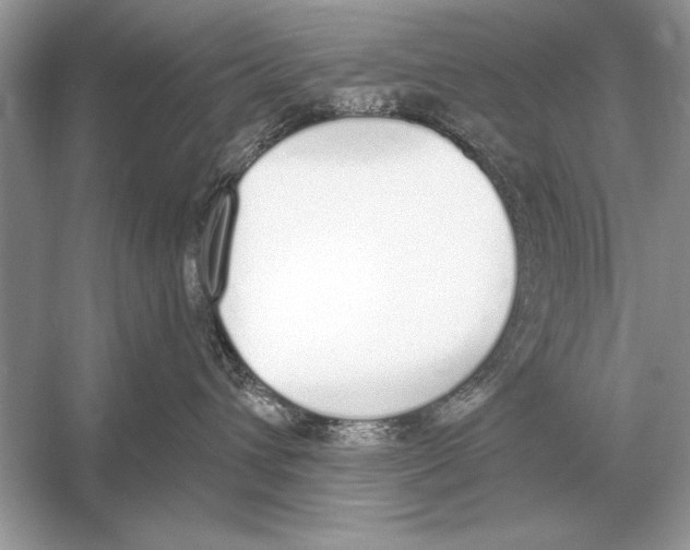 X0000051920432200507222139