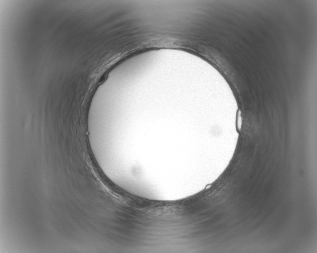 X0000051920433200507222138