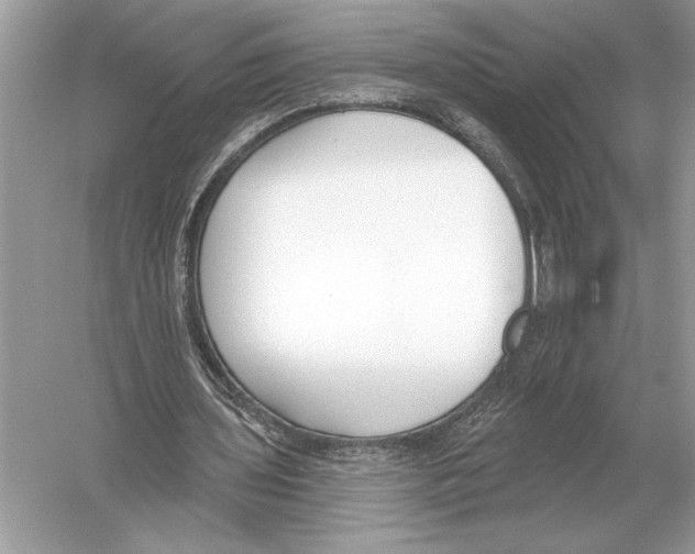 X0000051920435200507222138