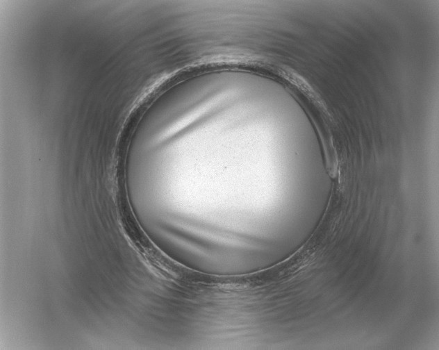 X0000051920436200507222138