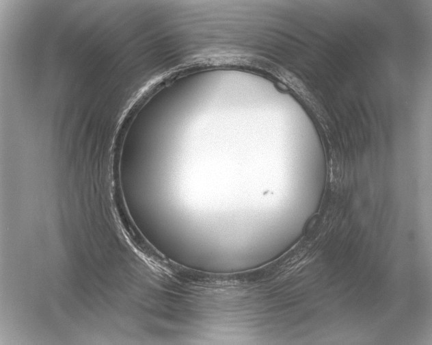 X0000051920438200507222138