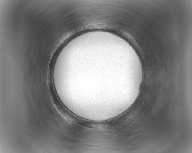 X0000051920439200507222138