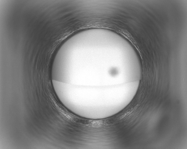 X0000051920441200507222138