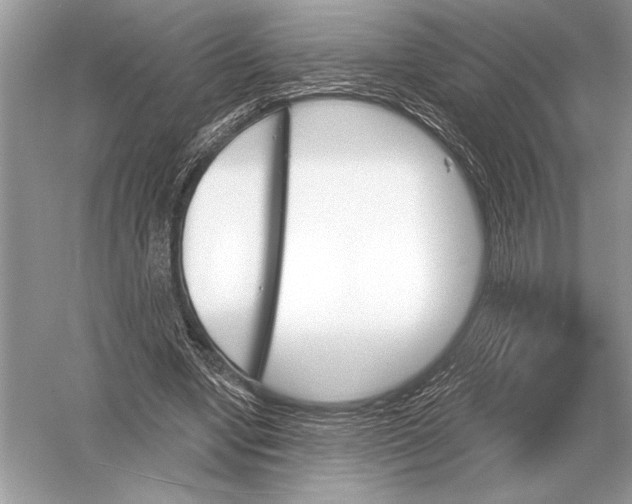 X0000051920442200507222138