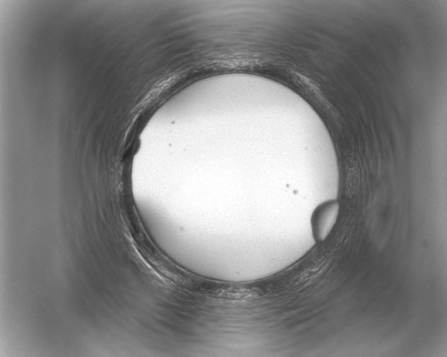 X0000051920443200507222139