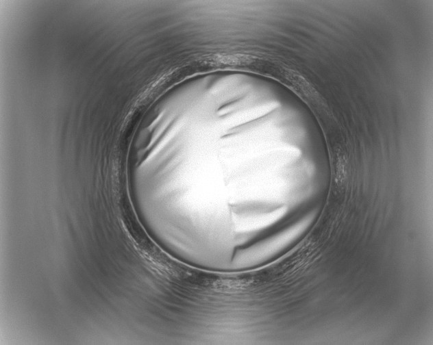 X0000051920444200507222139