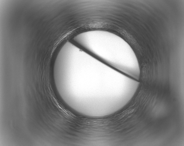 X0000051920446200507222139