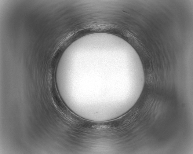 X0000051920448200507222139