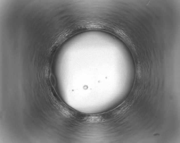 X0000051920449200507222139