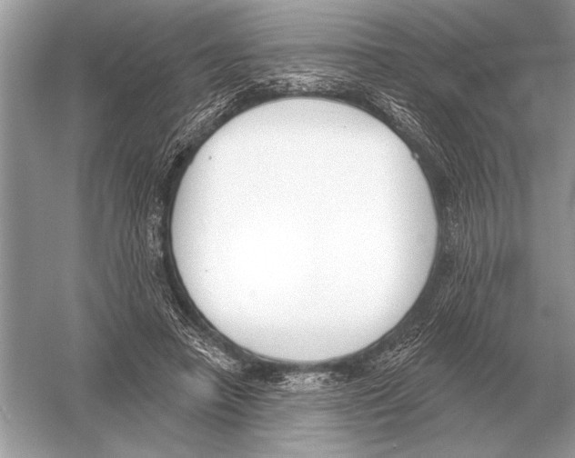 X0000051920450200507222139