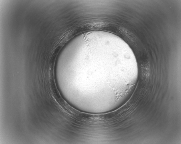 X0000051920451200507222139