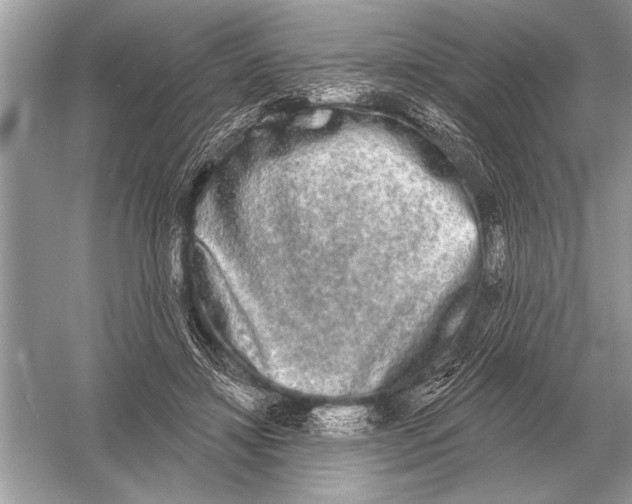 X0000051920452200507222139