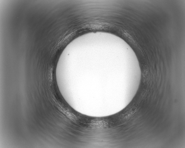 X0000051920454200507222139