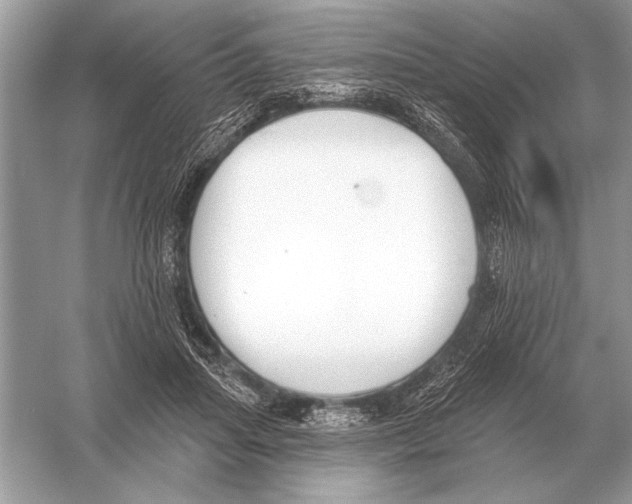 X0000051920455200507222139