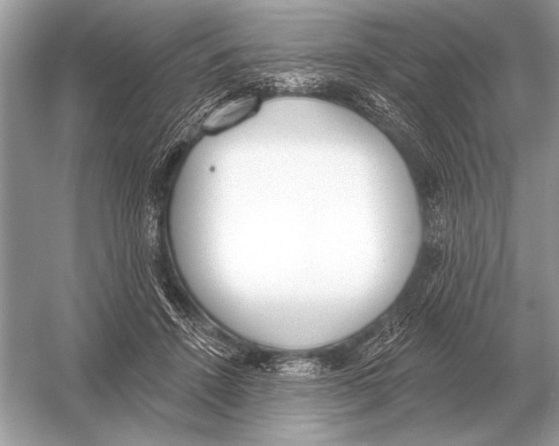 X0000051920456200507222139