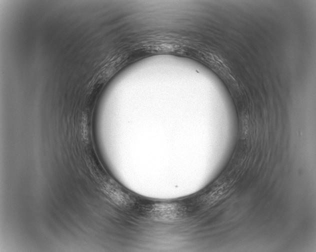 X0000051920457200507222139